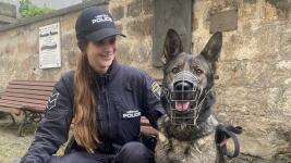 česká lípa pes 695845017 1318177060476109 7432912063004870373 n